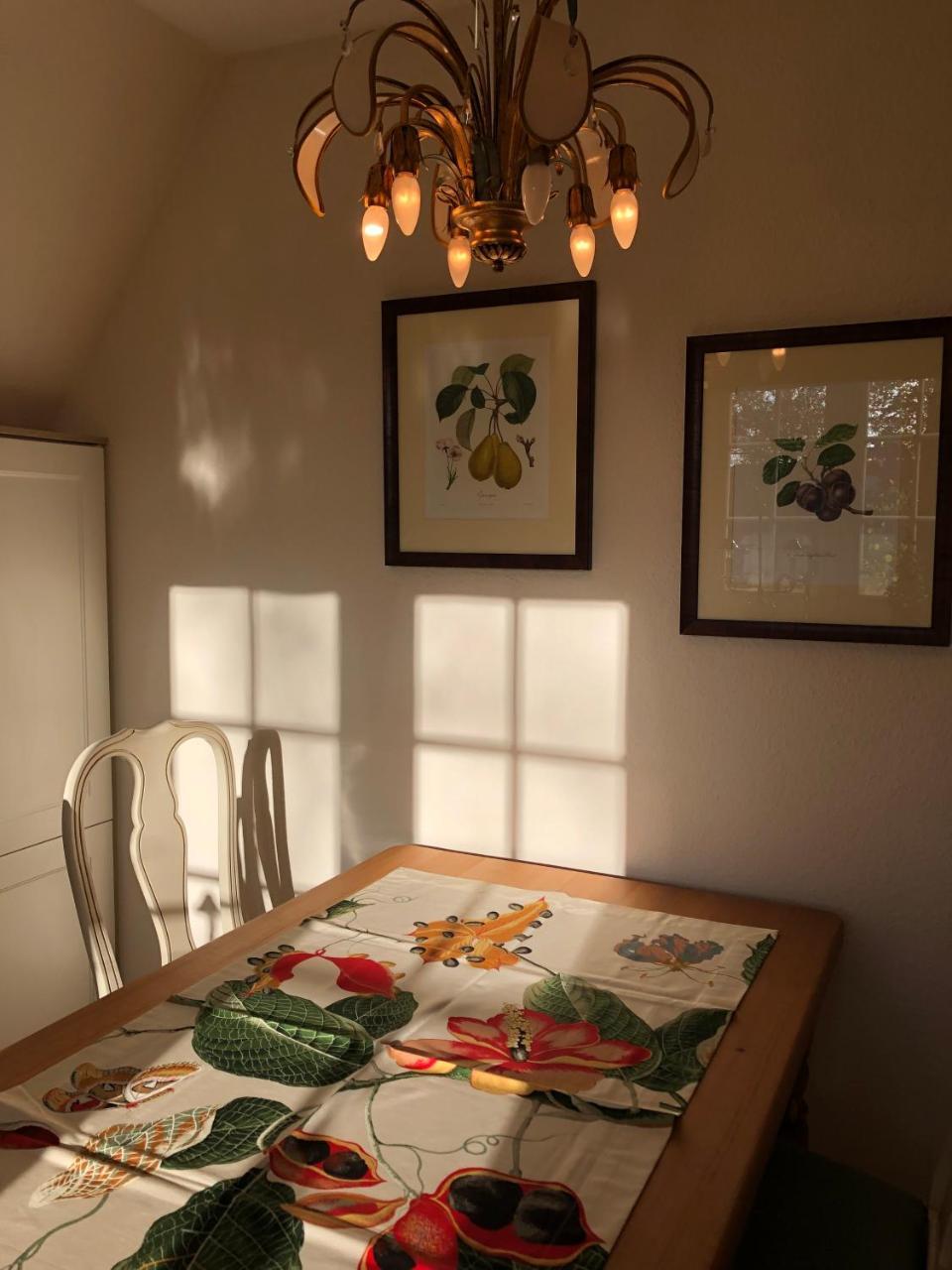 Landhaus Drei Seen 파더본 외부 사진